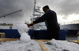 Brussels set to lure Iceland into EU with fishing coverage exceptions