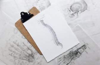 How Chiropractic Care Matches Into A Wholesome Way of life
